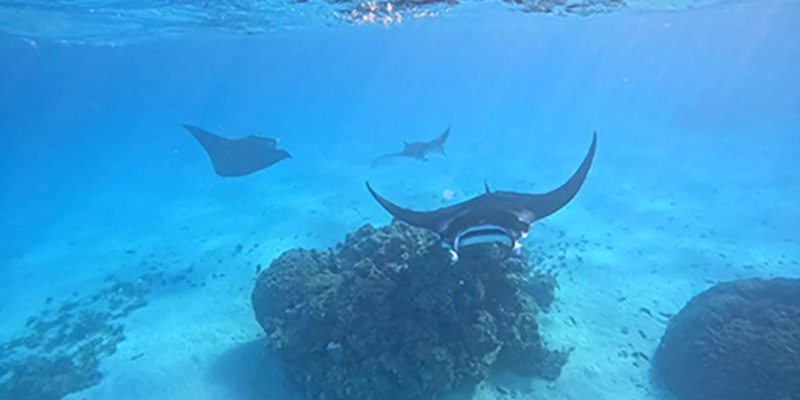 Sortie lagon à Maupiti