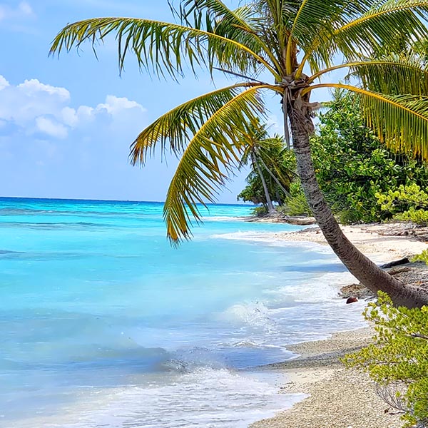 sammy Maupiti Pension